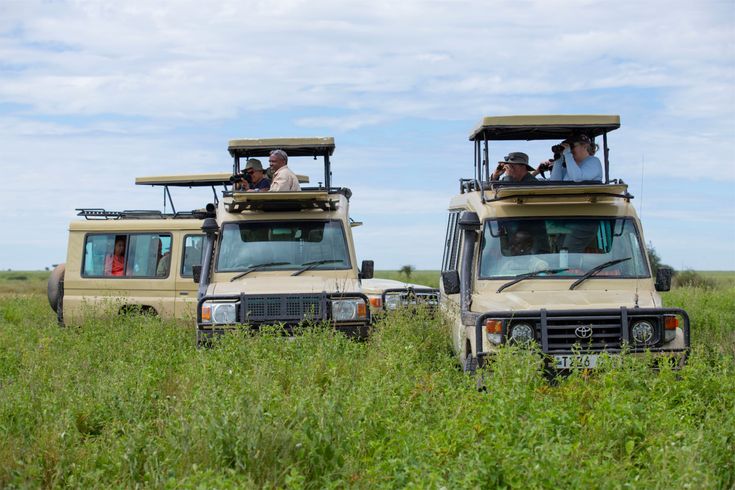 7-Day Best of the Wild Luxury Safari